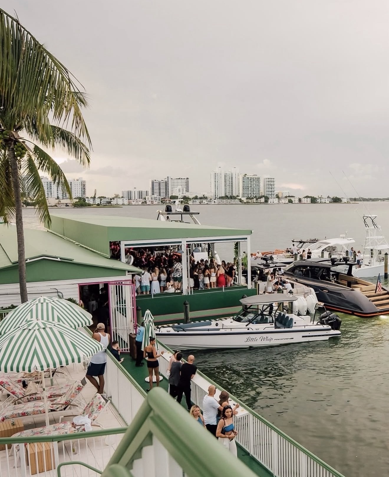 palm-tree-club-miami photo 4