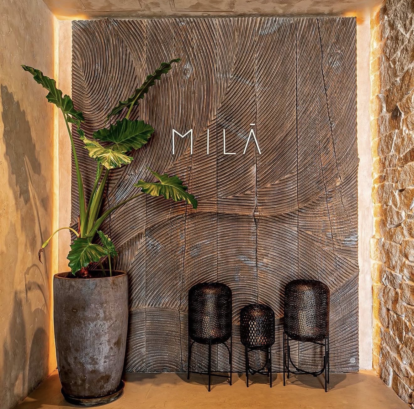 Mila Miami Miami 4