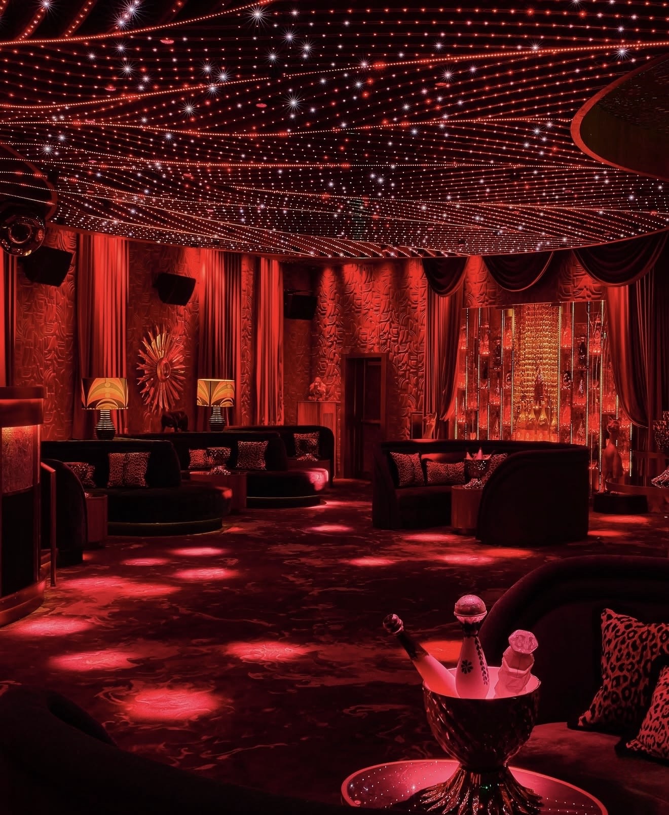 selva-miami photo 3