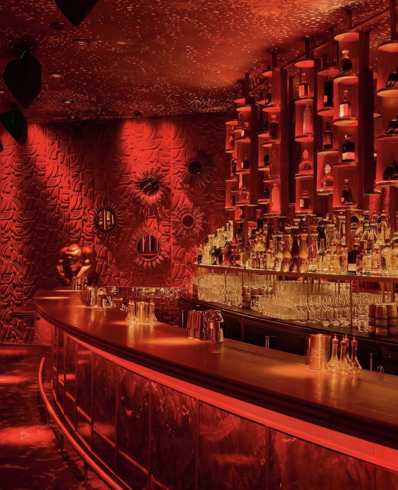 selva-miami photo 5