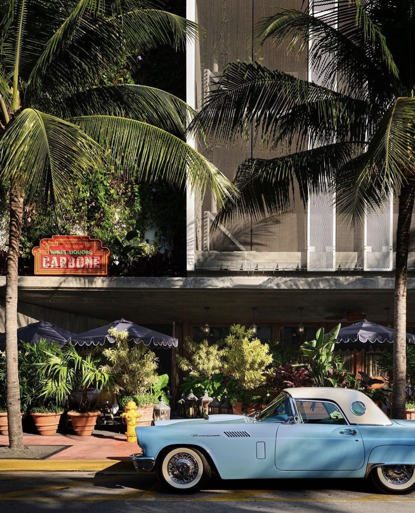 Carbone Miami atmosphere Miami