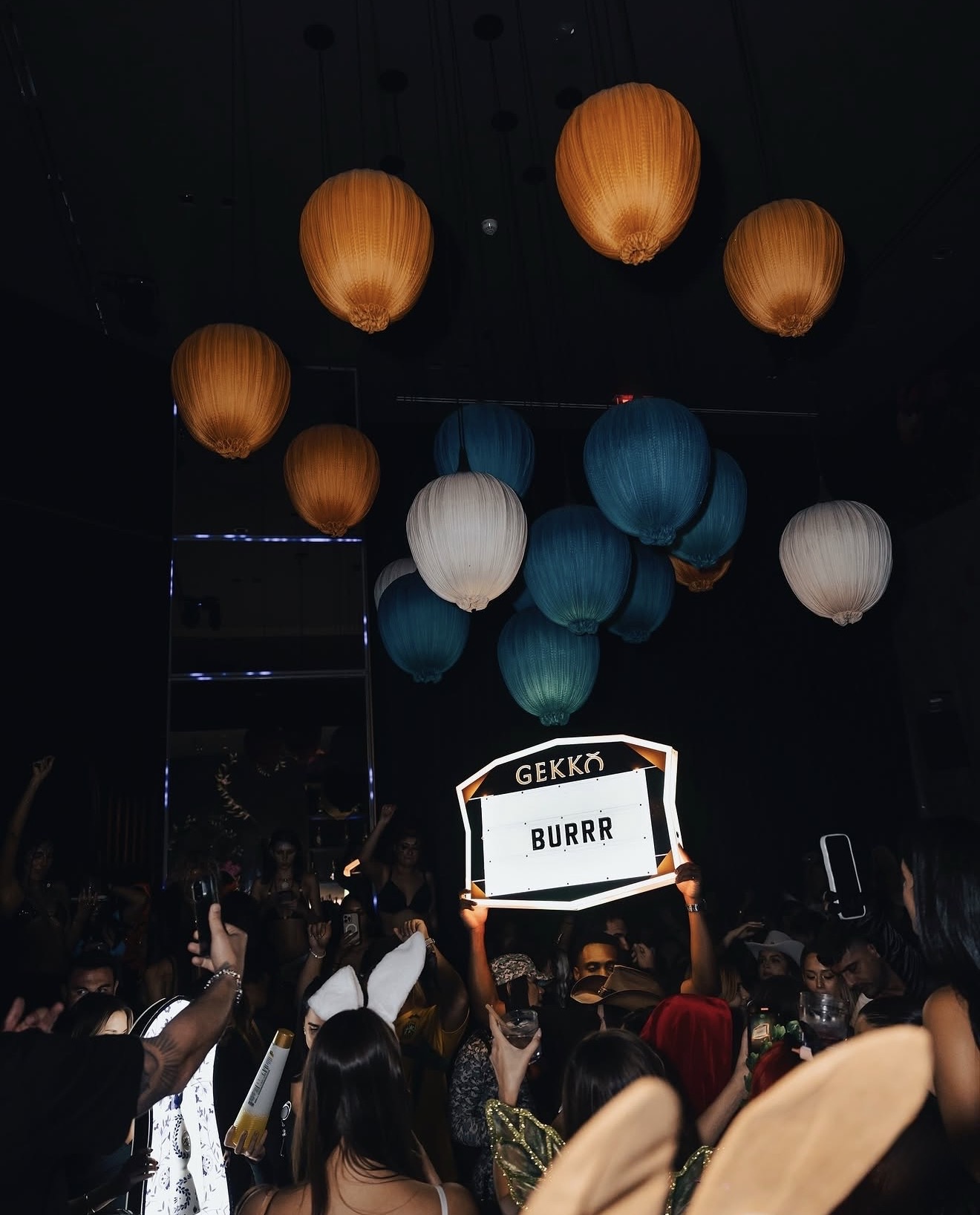 Gekko Miami Miami 3