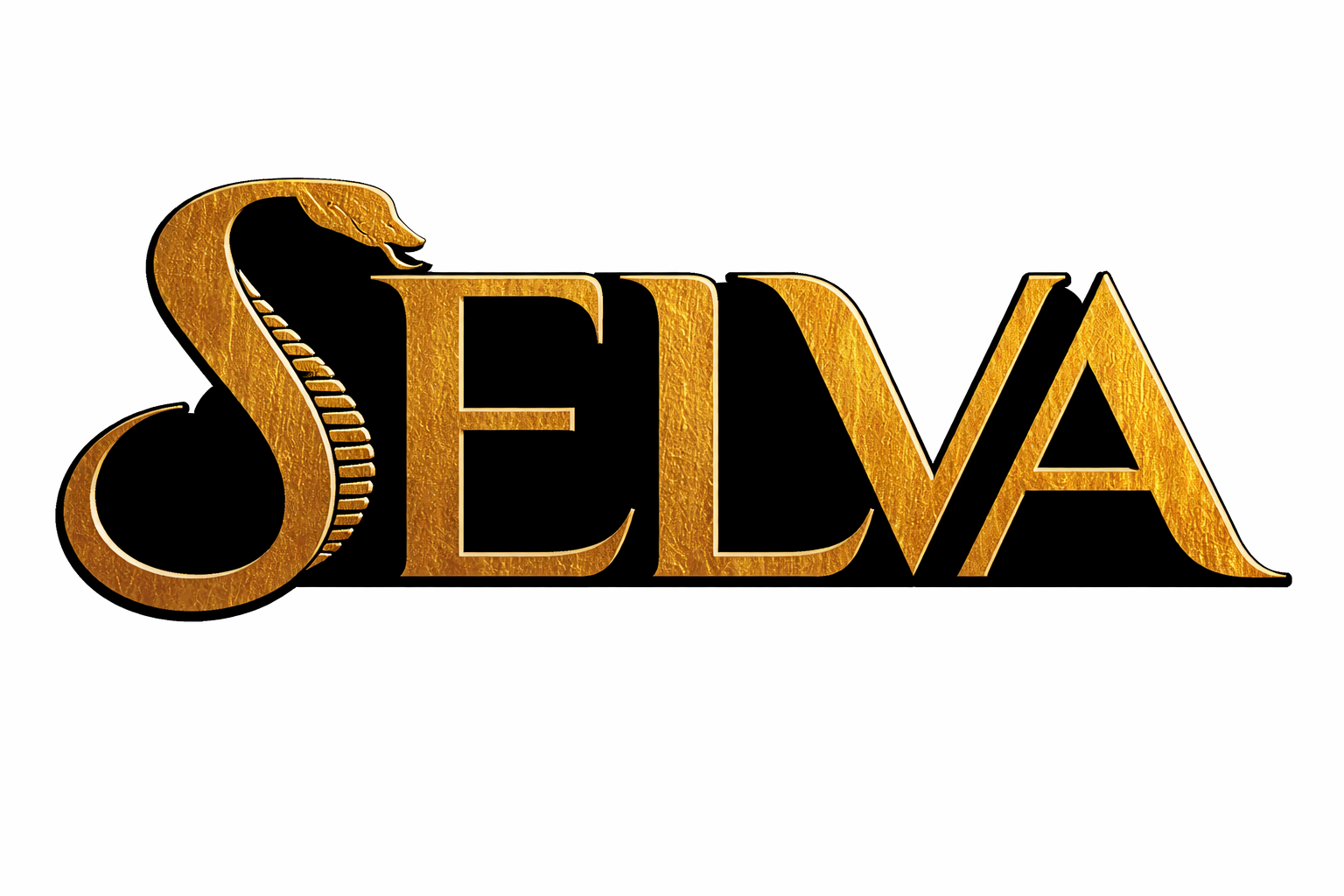 selva-miami photo 1